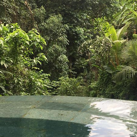 Raka Rai Bungalows Ubud Dış mekan fotoğraf
